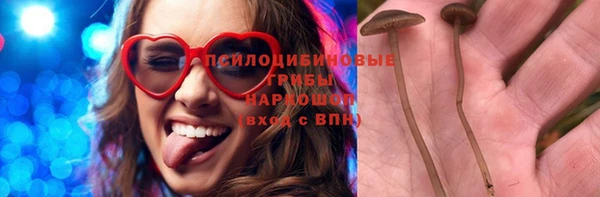 Альфа ПВП Бородино