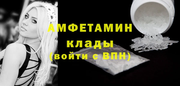 Альфа ПВП Бородино