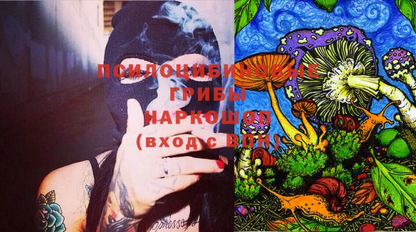 Альфа ПВП Бородино